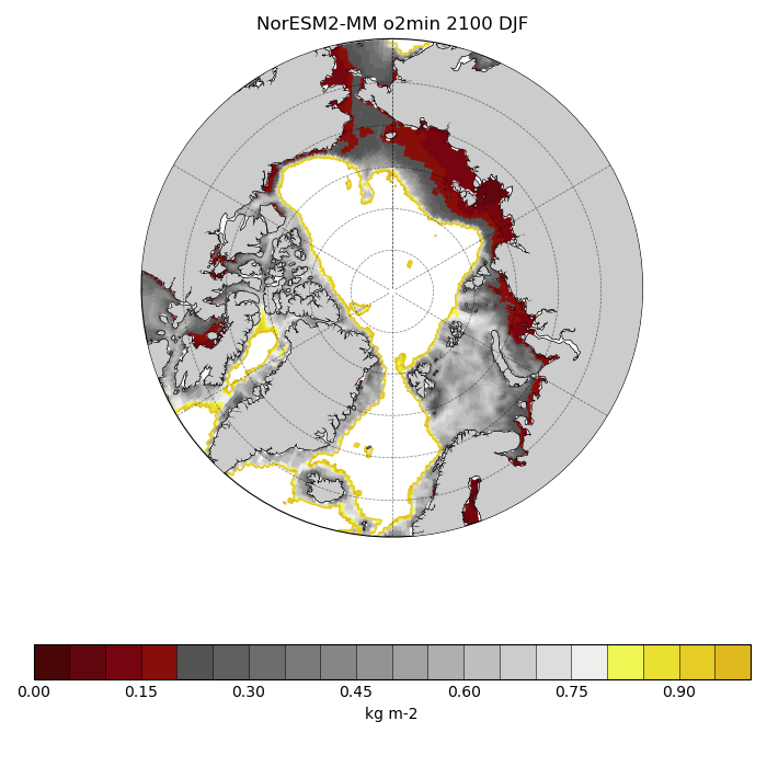Map of NorESM2-MM o2min 2100 DJF