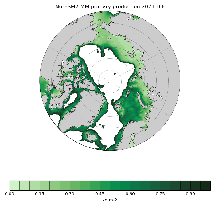 Map of NorESM2-MM primary production 2071 DJF