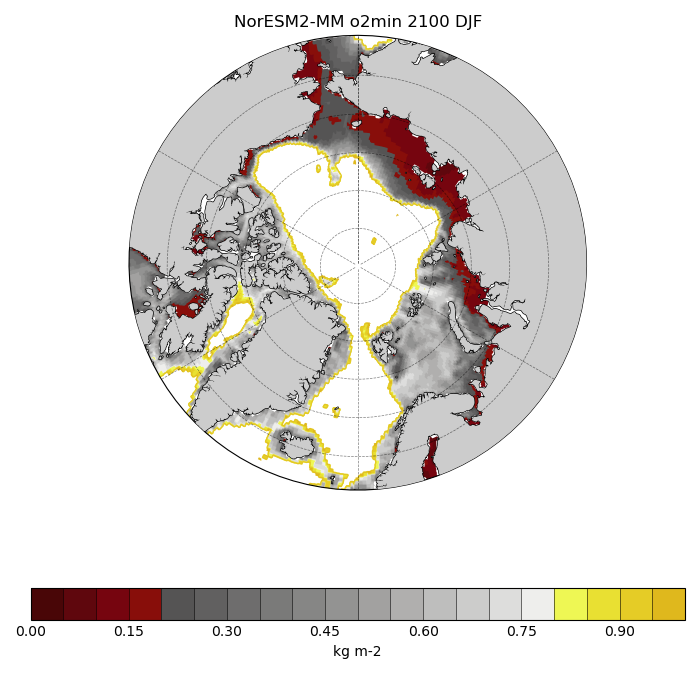 Map of NorESM2-MM o2min 2100 DJF