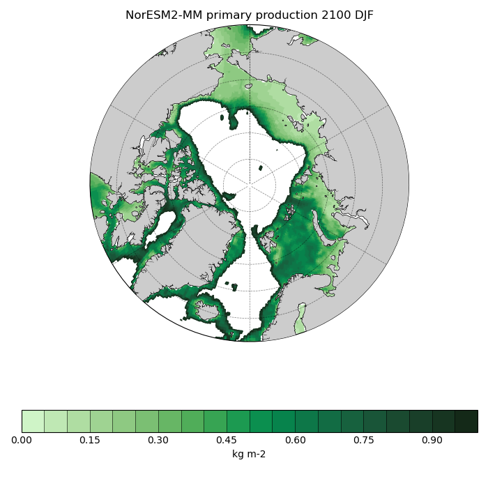 Map of NorESM2-MM primary production 2100 DJF