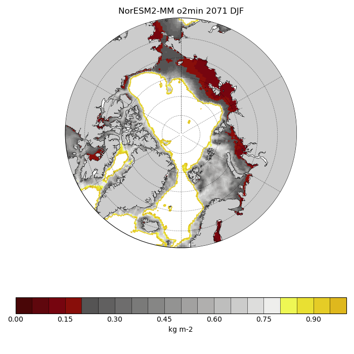 Map of NorESM2-MM o2min 2071 DJF