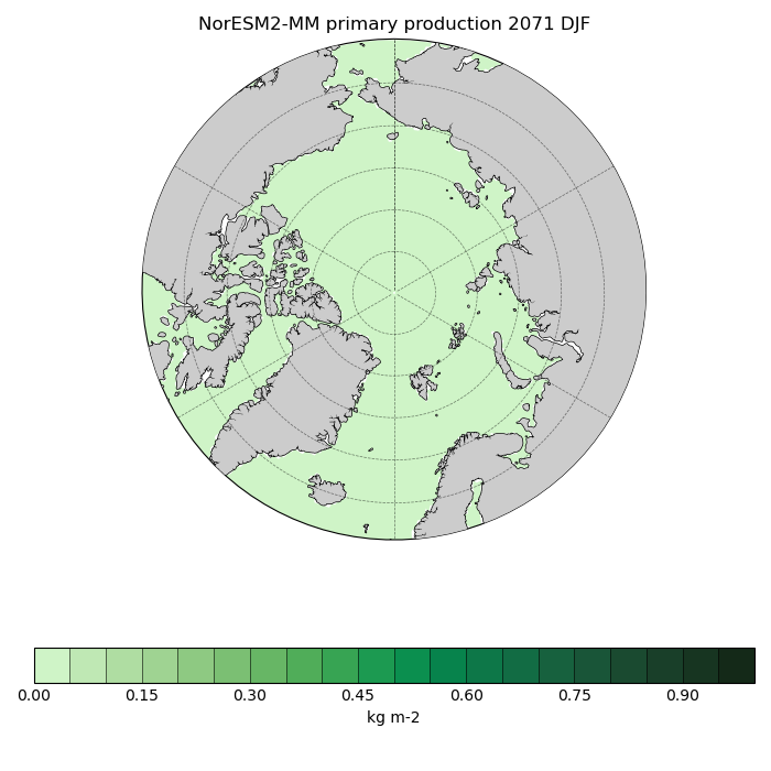 Map of NorESM2-MM primary production 2071 DJF