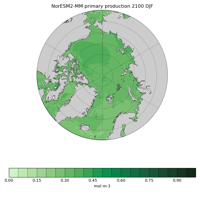 Map of NorESM2-MM primary production 2100 DJF