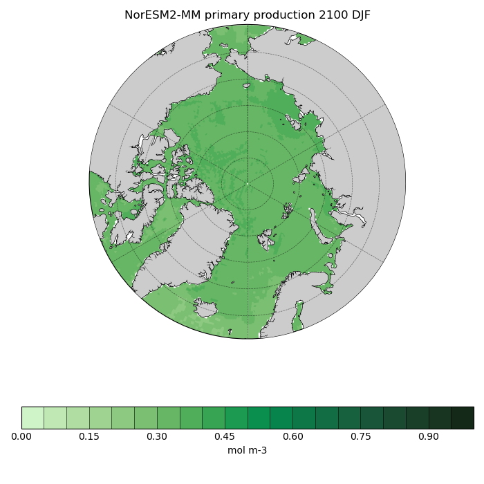 Map of NorESM2-MM primary production 2100 DJF