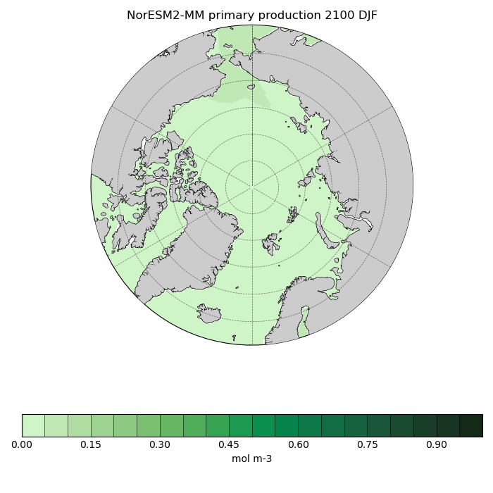 Map of NorESM2-MM primary production 2100 DJF